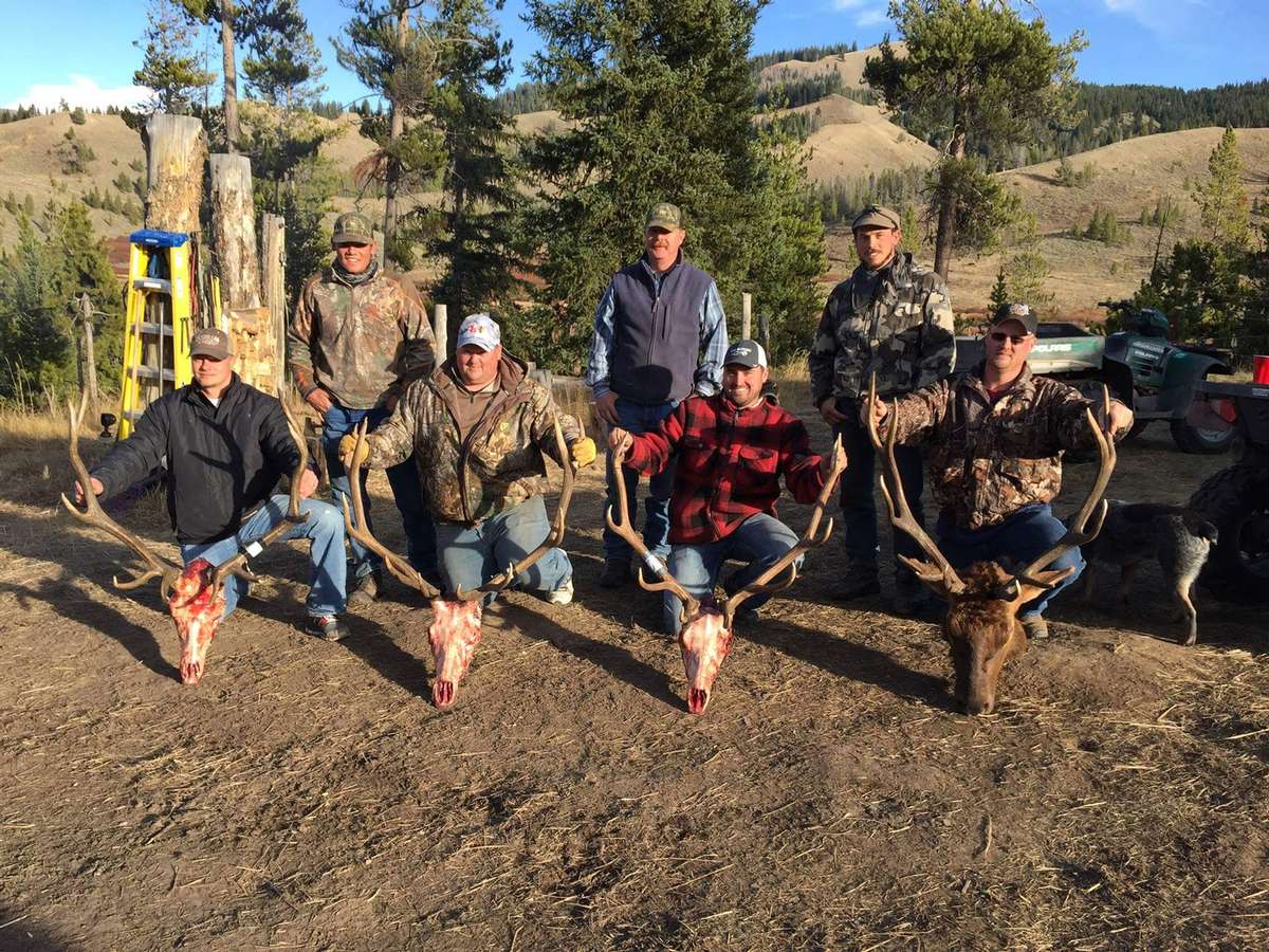 Wyoming Elk Hunts